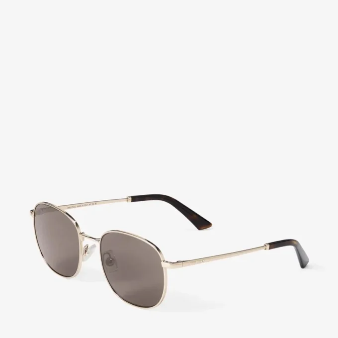 Dune Pale Gold and Dark Brown Pantos Metal Sunglasses