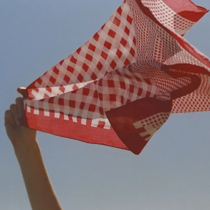 Sula Bandana Ruby Red Mix Gingham Print Cotton Bandana