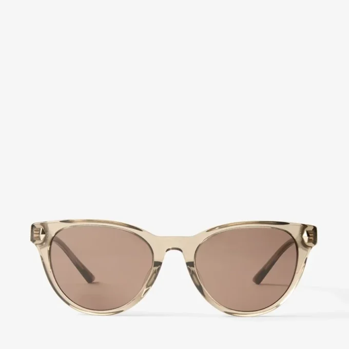 Trace Brown Transparent Pantos Sunglasses